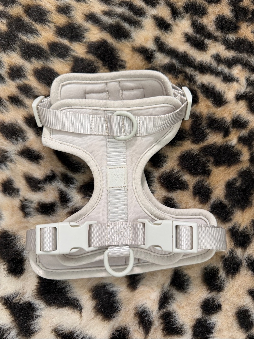 Wild One Cushioned Dog Harness